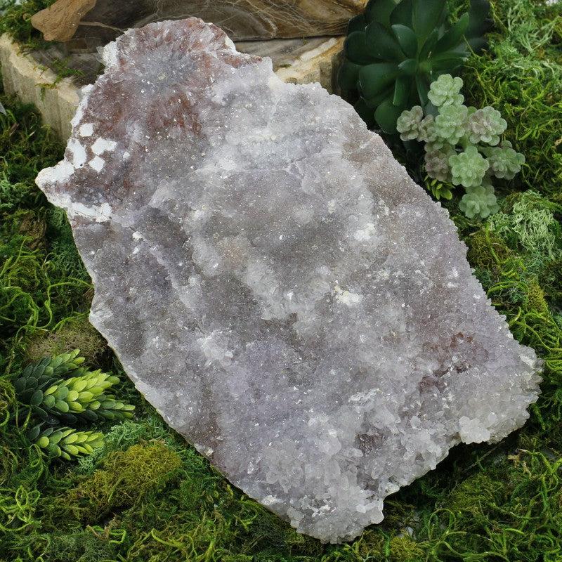 Jumbo Natural Flower Amethyst Rough Clusters || Brazil || Transformation-Nature's Treasures