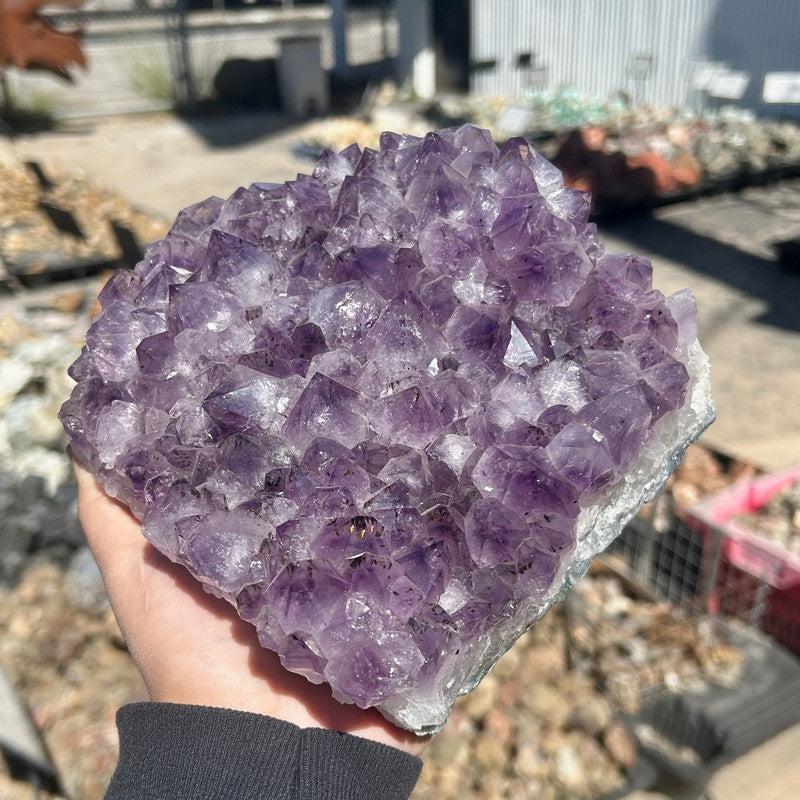 Jumbo Rough Amethyst Cluster Piece || Trunk Show-Nature's Treasures