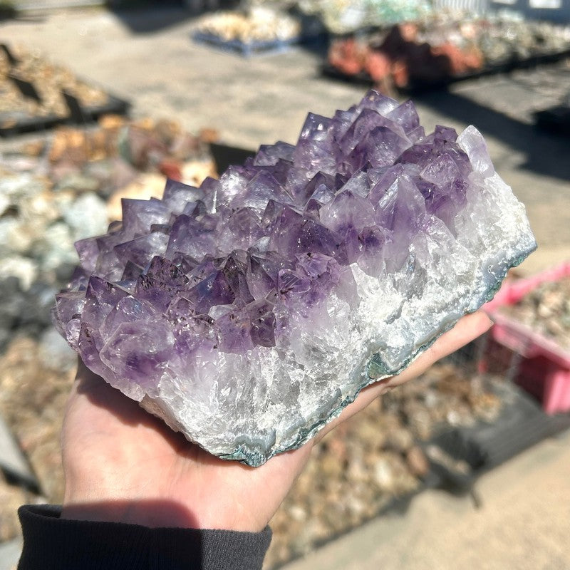 Jumbo Rough Amethyst Cluster Piece || Trunk Show-Nature's Treasures