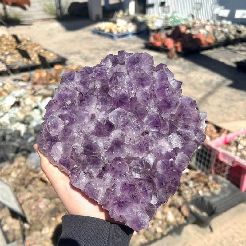 Jumbo Rough Amethyst Cluster Piece || Trunk Show-Nature's Treasures