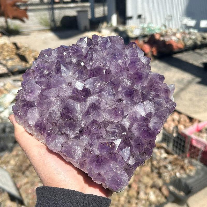 Jumbo Rough Amethyst Cluster Piece || Trunk Show-Nature's Treasures