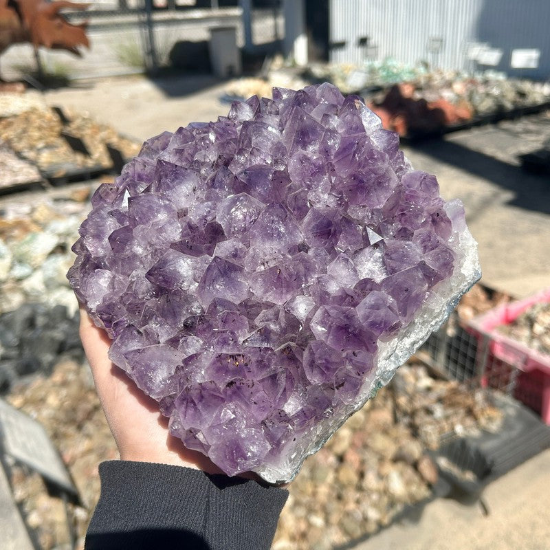 Jumbo Rough Amethyst Cluster Piece || Trunk Show-Nature's Treasures