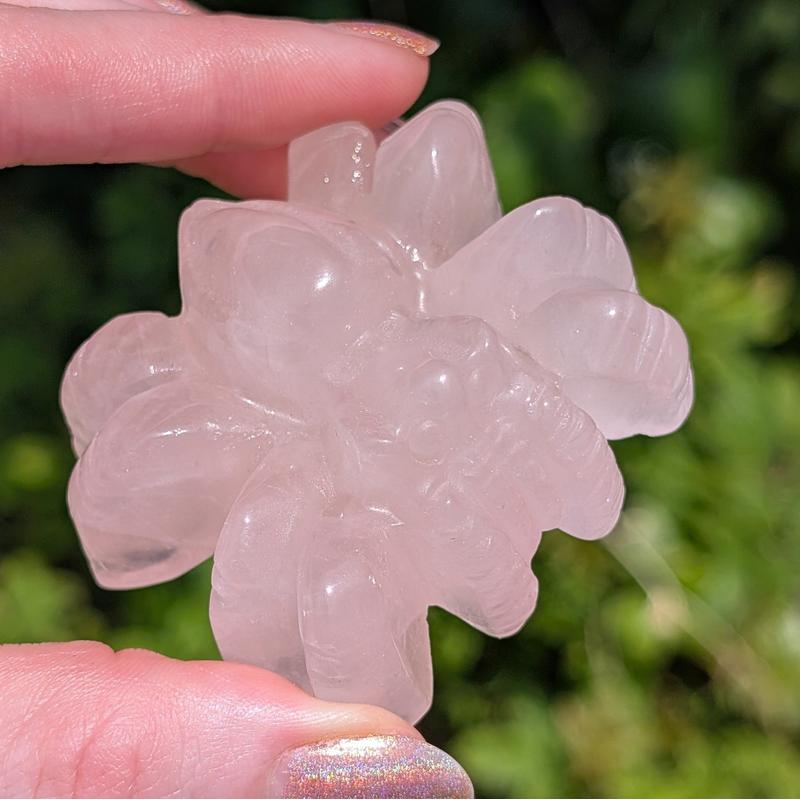 Jumping Spider Crystal Carvings || Trunk Show-Nature's Treasures