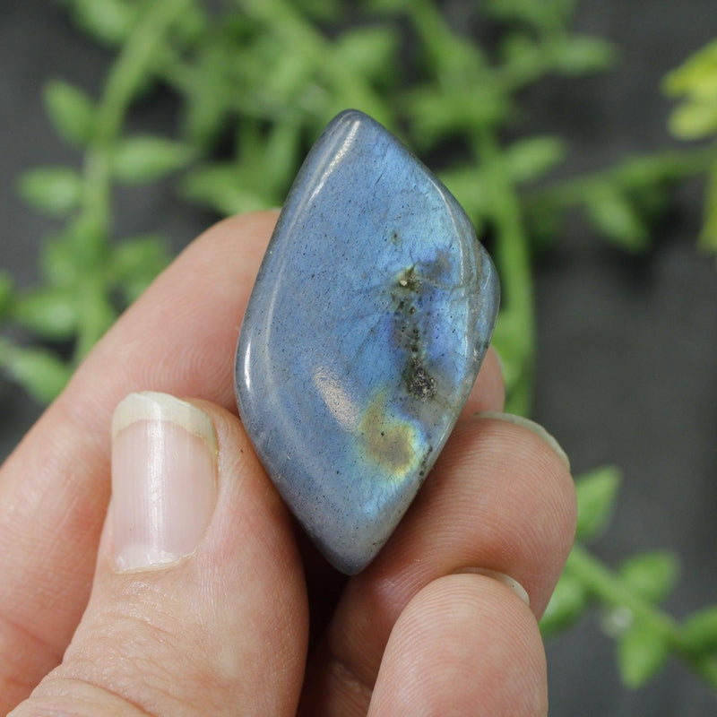 Labradorite Tumbled Stone || Small-Nature's Treasures