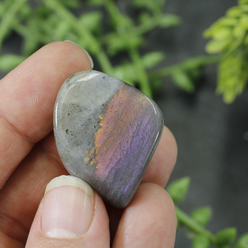 Labradorite Tumbled Stone || Small-Nature's Treasures
