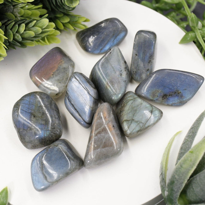 Labradorite Tumbled Stone || Small-Nature's Treasures