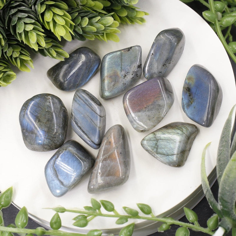 Labradorite Tumbled Stone || Small-Nature's Treasures