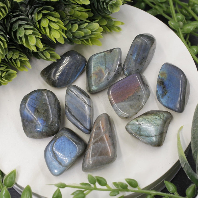 Labradorite Tumbled Stone || Small-Nature's Treasures