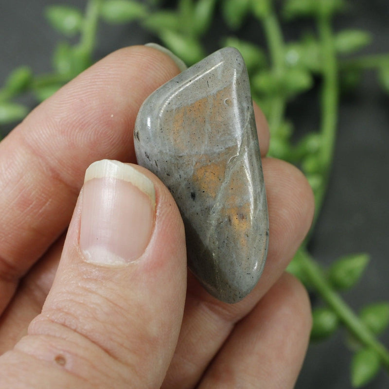 Labradorite Tumbled Stone || Small-Nature's Treasures