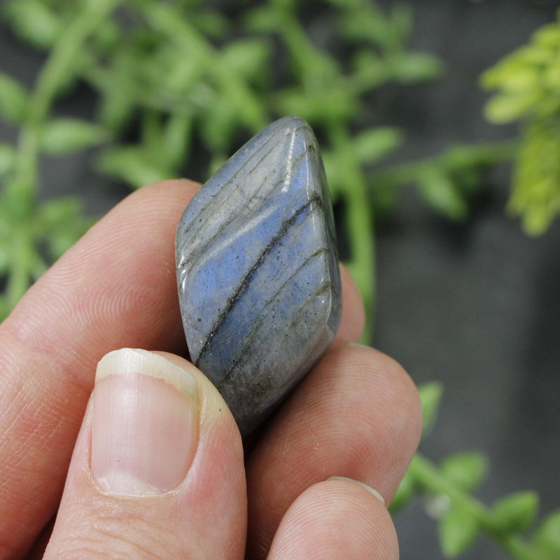 Labradorite Tumbled Stone || Small-Nature's Treasures
