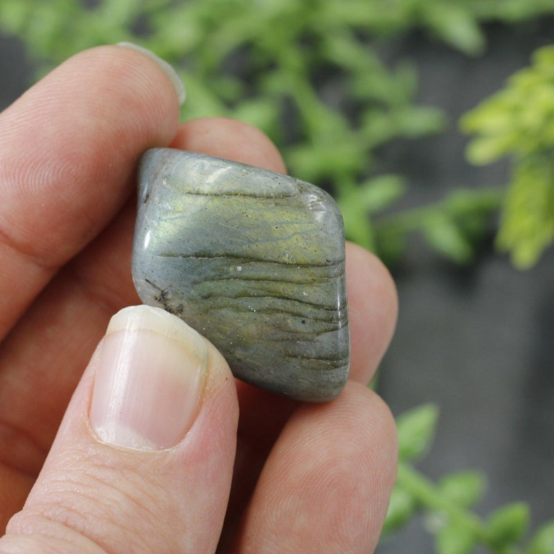 Labradorite Tumbled Stone || Small-Nature's Treasures