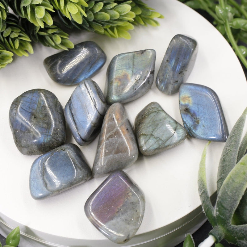 Labradorite Tumbled Stone || Small-Nature's Treasures