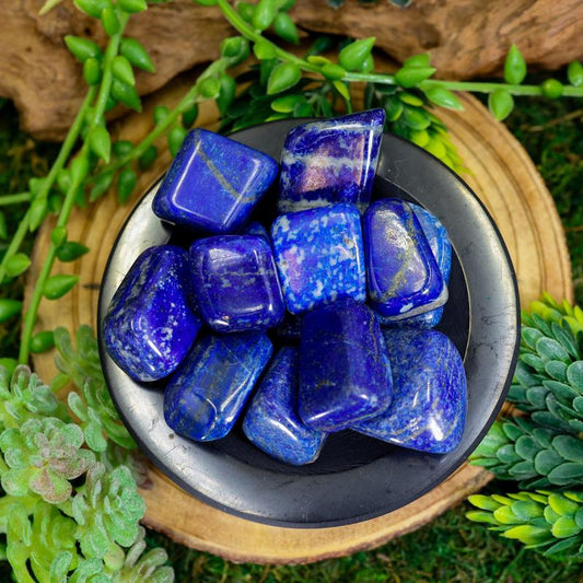 Lapis Lazuli Tumble Medium-Nature's Treasures