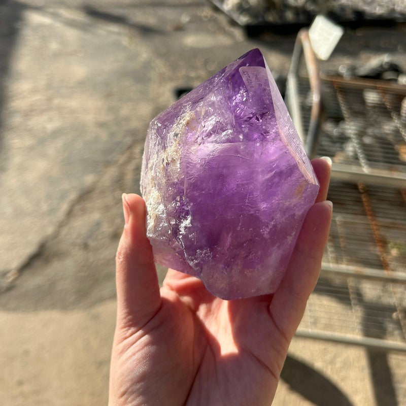 Large Half Polished Amethyst Cut Base Points-Nature's Treasures