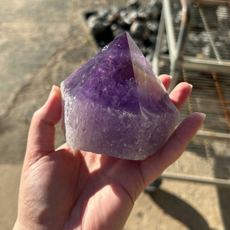 Large Half Polished Amethyst Cut Base Points-Nature's Treasures