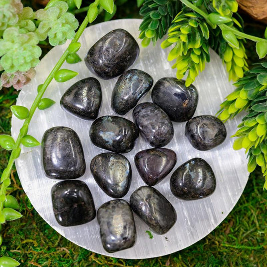 Larvikite Tumbled Stone-Nature's Treasures