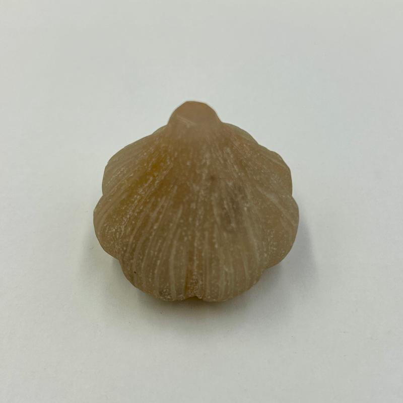 Matted Agate Garlic Crystal Carvings || Trunk Show-Nature's Treasures