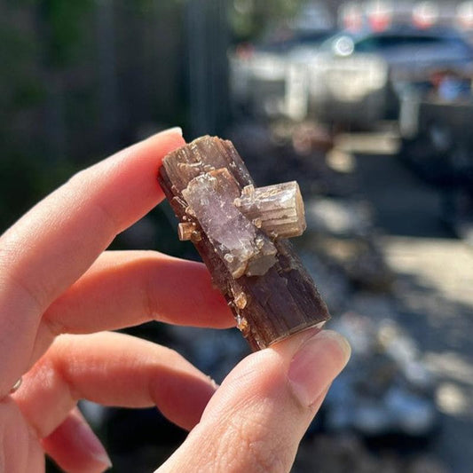 Natural Aragonite Star Log Cluster's From Spain || Trunk Show 2024-Nature's Treasures