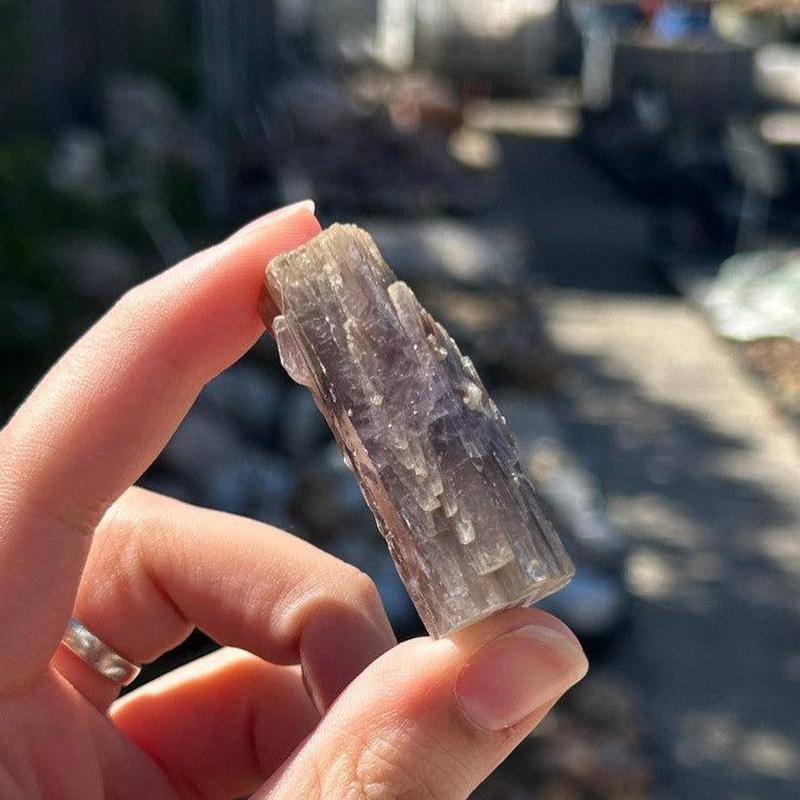 Natural Aragonite Star Log Cluster's From Spain || Trunk Show 2024-Nature's Treasures