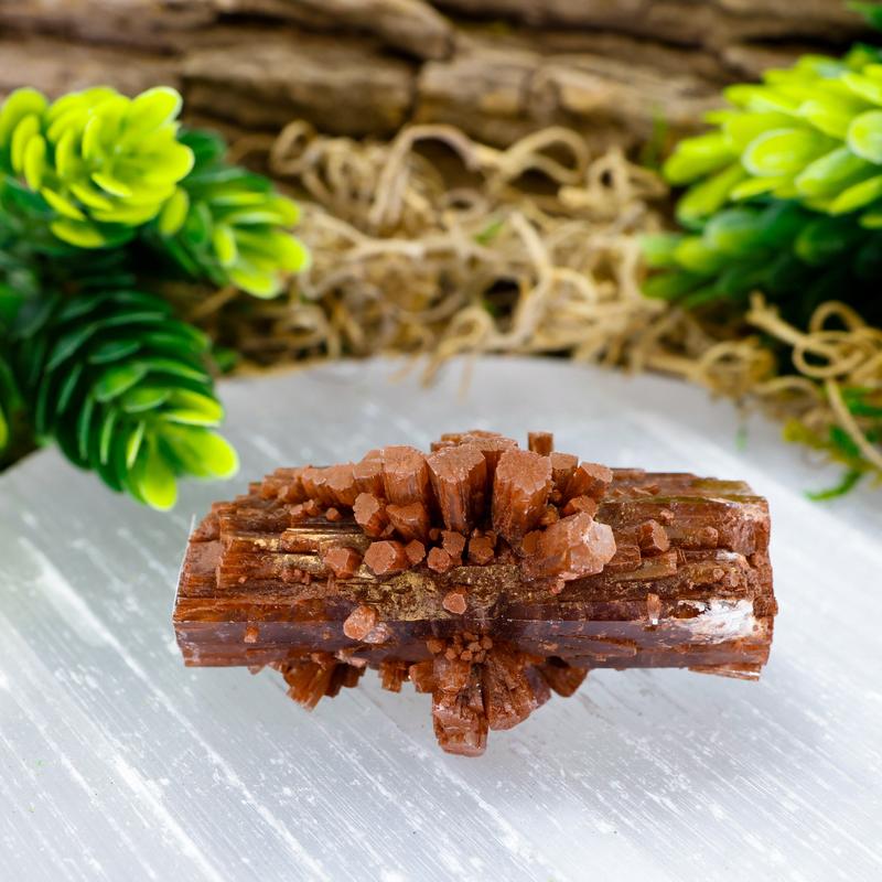 Natural Aragonite Star Log Cluster's From Spain || Trunk Show 2024-Nature's Treasures