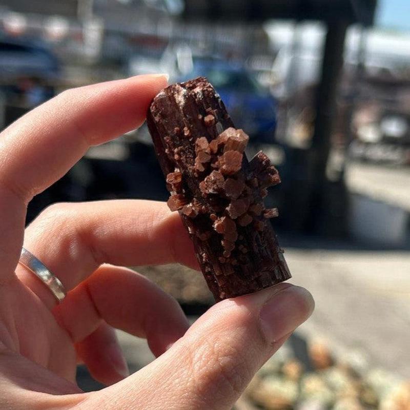 Natural Aragonite Star Log Cluster's From Spain || Trunk Show 2024-Nature's Treasures