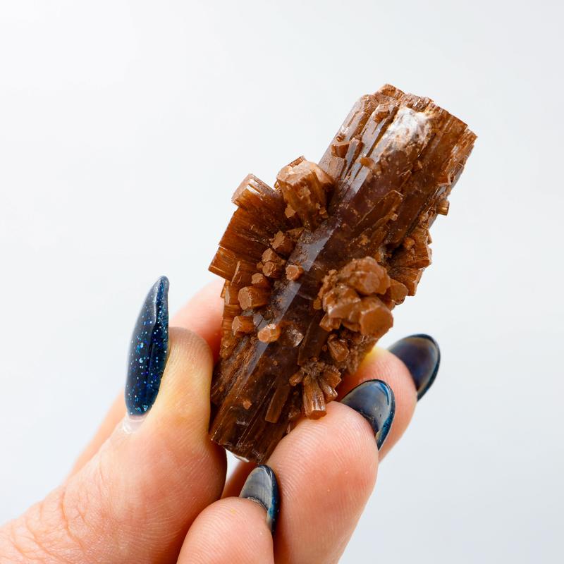 Natural Aragonite Star Log Cluster's From Spain || Trunk Show 2024-Nature's Treasures