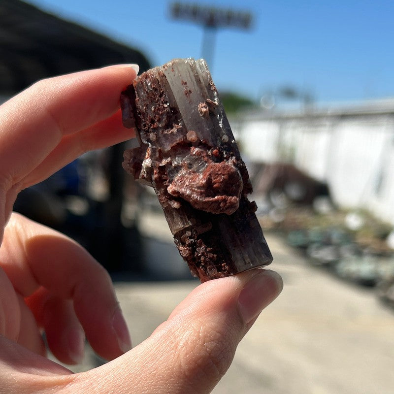 Natural Aragonite Star Log Cluster's From Spain || Trunk Show 2024-Nature's Treasures