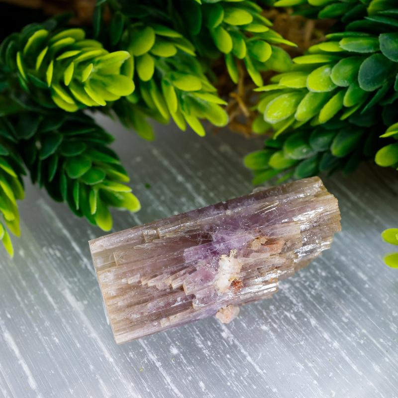 Natural Aragonite Star Log Cluster's From Spain || Trunk Show 2024-Nature's Treasures