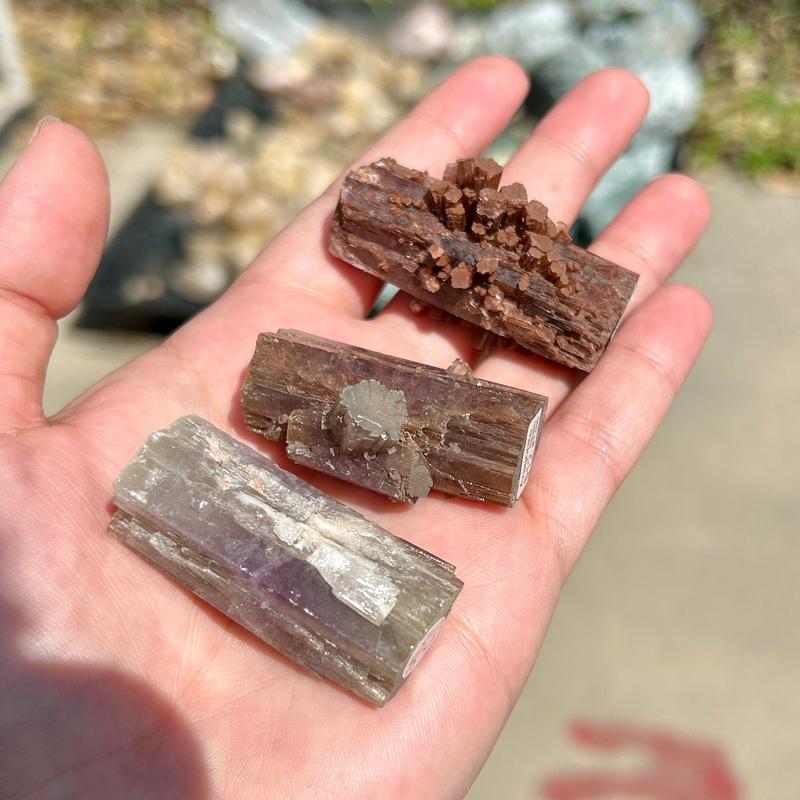 Natural Aragonite Star Log Cluster's From Spain || Trunk Show 2024-Nature's Treasures