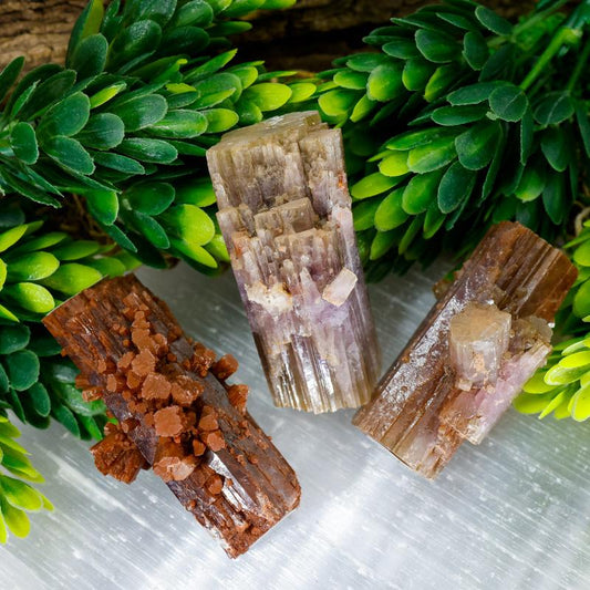 Natural Aragonite Star Log Cluster's From Spain || Trunk Show 2024-Nature's Treasures