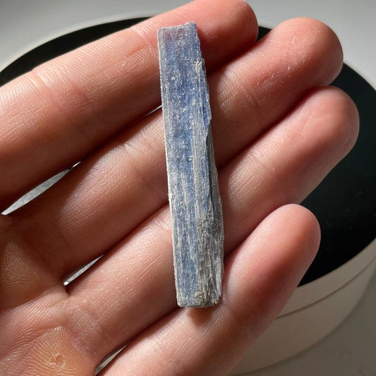 Natural Blue Kyanite Rough Blades-Nature's Treasures
