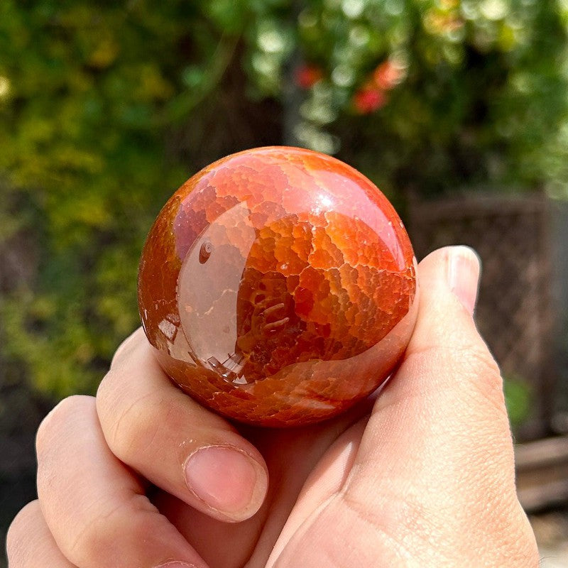 Natural Carnelian Fire Agate Spheres || Passion || Brazil-Nature's Treasures