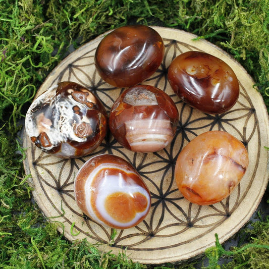 Natural Carnelian Palm Stone | Polished Madagascar Crystal-Nature's Treasures