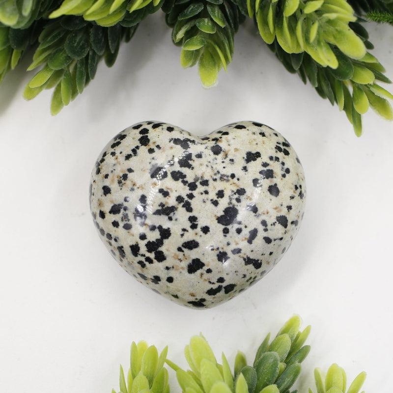 Natural Dalmatian Jasper Pocket Hearts || Protection, Grounding || Mexico