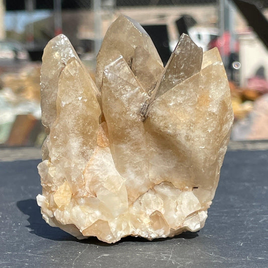 Natural Dogtooth Calcite Point || From Morocco-Nature's Treasures