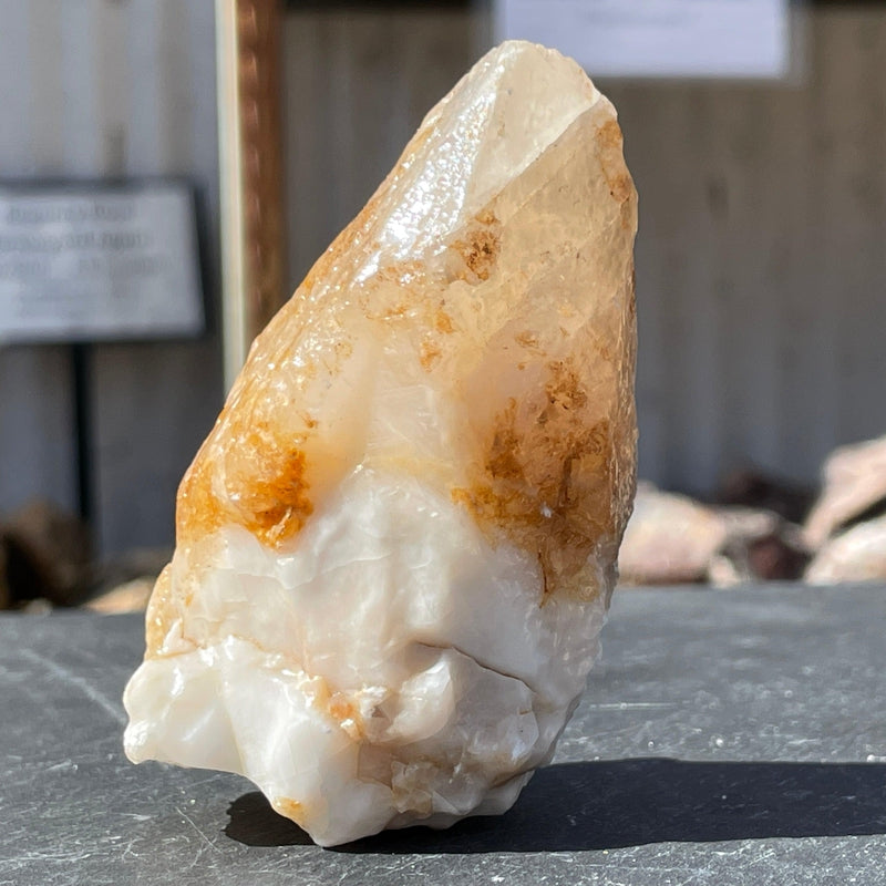 Natural Dogtooth Calcite Point || From Morocco-Nature's Treasures