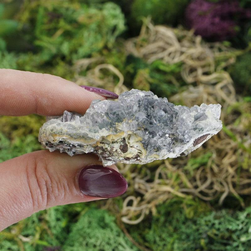 Natural Flower Amethyst Rough Clusters || Brazil || Transformation-Nature's Treasures