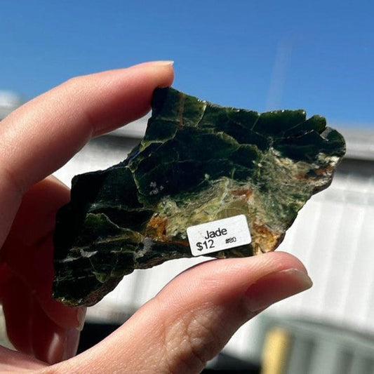 Natural Half Polished Jade Slabs || Trunk Show 2024-Nature's Treasures