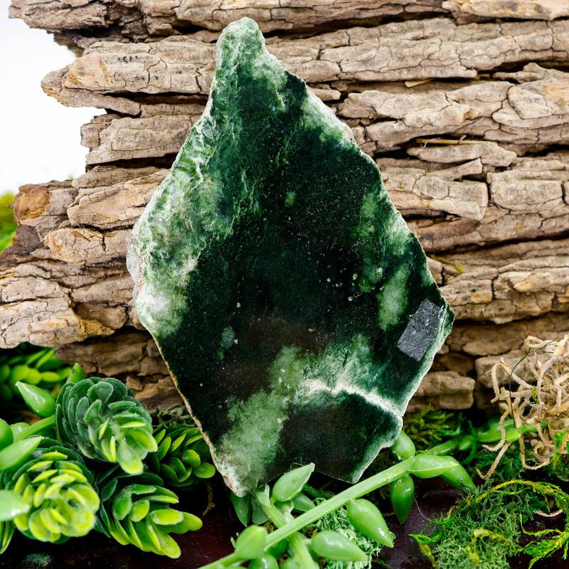Natural Half Polished Jade Slabs || Trunk Show 2024-Nature's Treasures