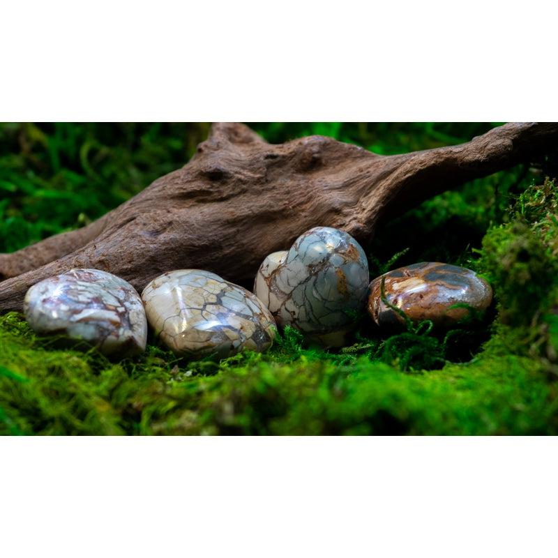 Natural Ibis Jasper Pocket Hearts || Intuition, Healing || Madagascar-Nature's Treasures