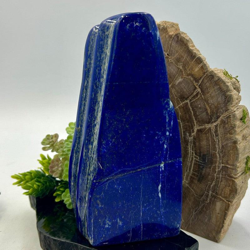 Natural Lapis Lazuli Free Form | Polished Crystal from Pakistan-Nature's Treasures