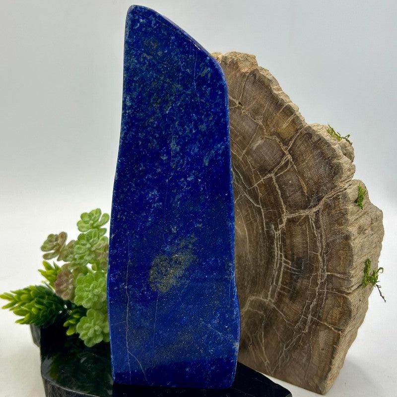 Natural Lapis Lazuli Free Form | Polished Crystal from Pakistan-Nature's Treasures
