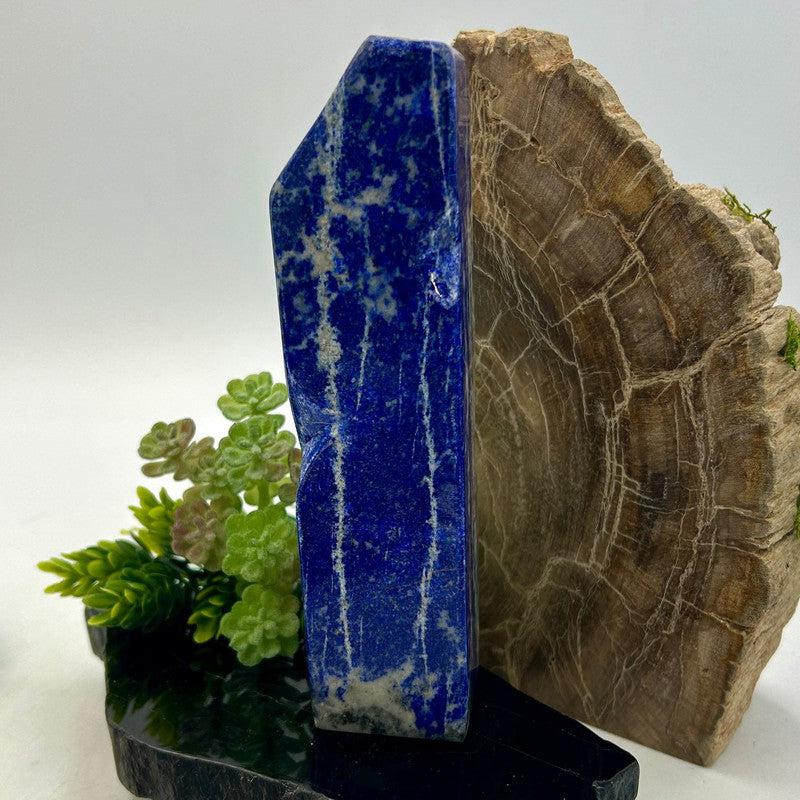 Natural Lapis Lazuli Free Form | Polished Crystal from Pakistan-Nature's Treasures