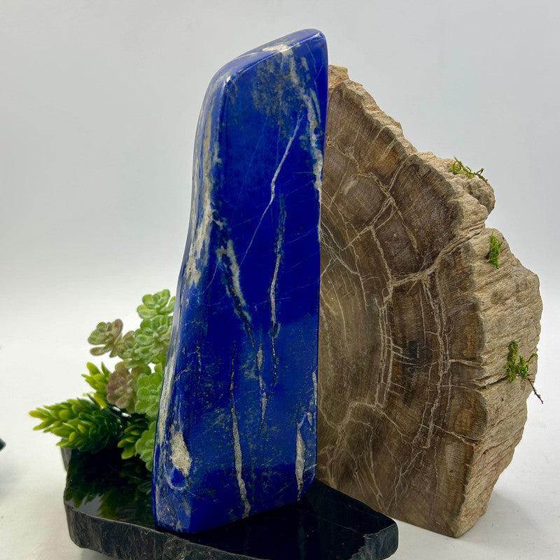 Natural Lapis Lazuli Free Form | Polished Crystal from Pakistan-Nature's Treasures