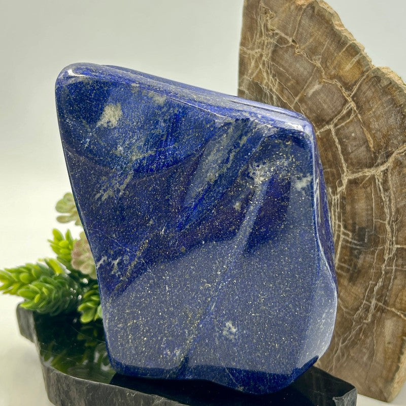 Natural Lapis Lazuli Free Form | Polished Crystal from Pakistan-Nature's Treasures