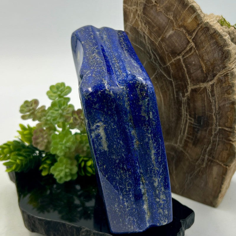 Natural Lapis Lazuli Free Form | Polished Crystal from Pakistan-Nature's Treasures