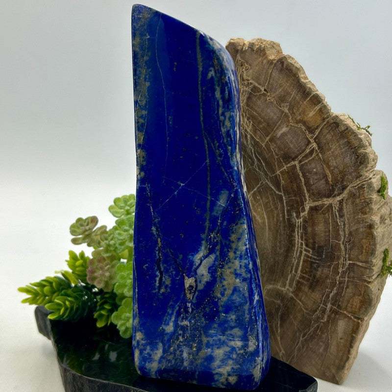 Natural Lapis Lazuli Free Form | Polished Crystal from Pakistan-Nature's Treasures