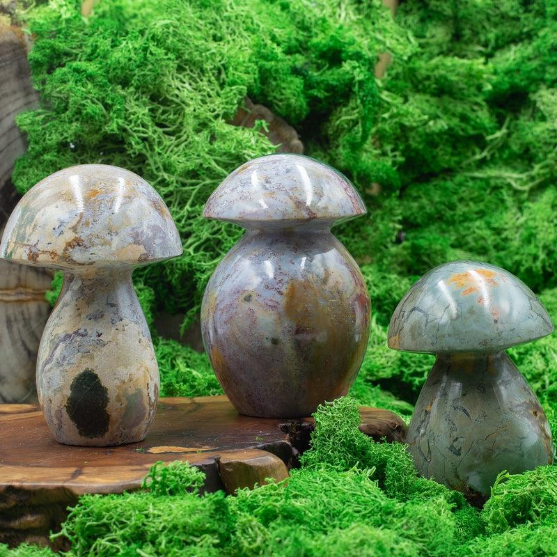 Natural Ocean Jasper Mushroom Carvings || Madagascar-Nature's Treasures