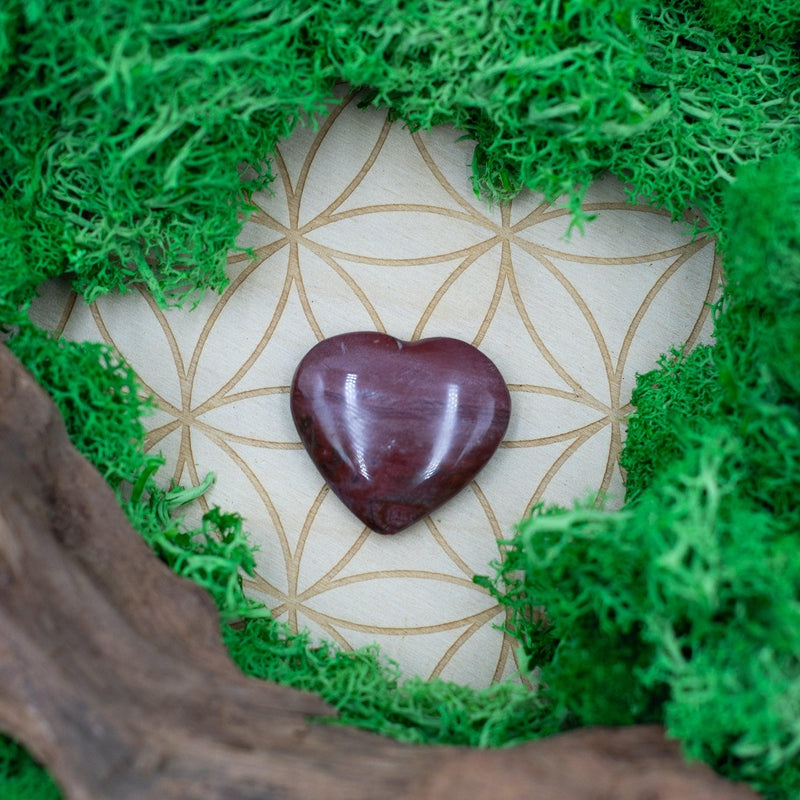 Natural Petrified Wood Pocket Hearts || Grounding, Inner Peace-Nature's Treasures