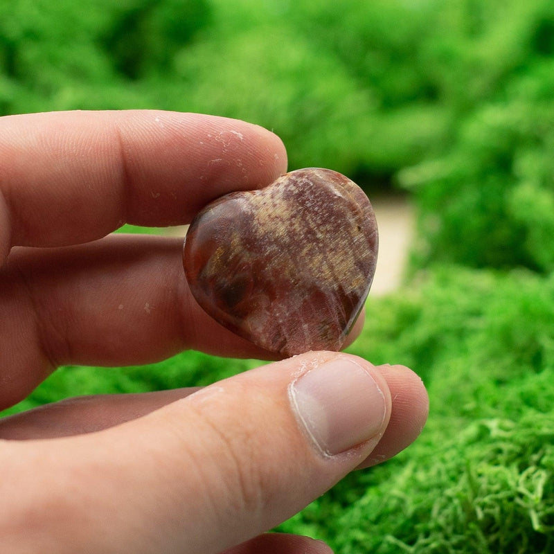 Natural Petrified Wood Pocket Hearts || Grounding, Inner Peace-Nature's Treasures